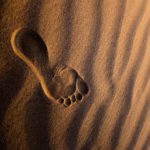 Photo by Jeremy Bishop on Unsplash