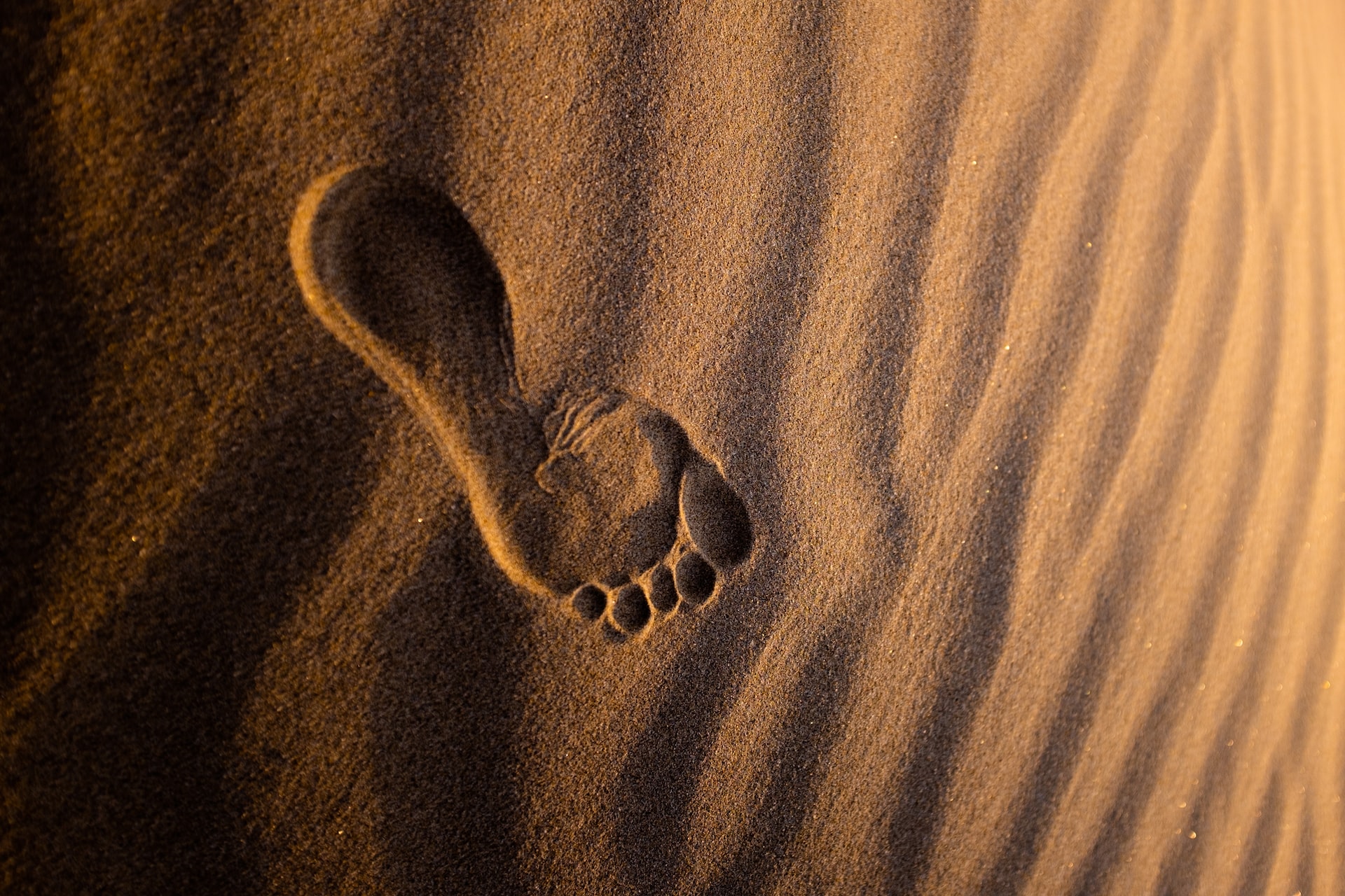 Photo by Jeremy Bishop on Unsplash