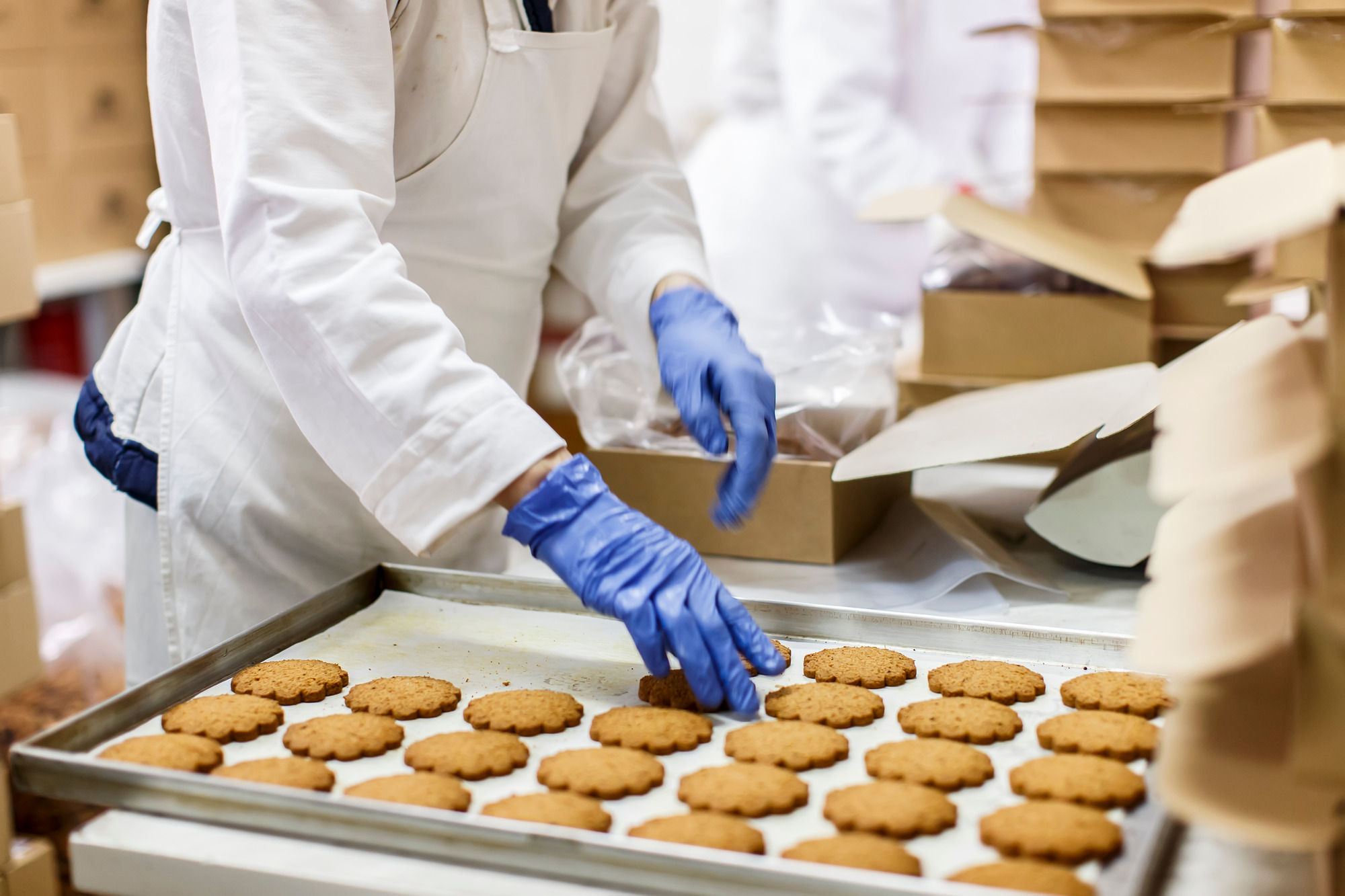 Planning To Start A Food Manufacturing Business? Things To Know