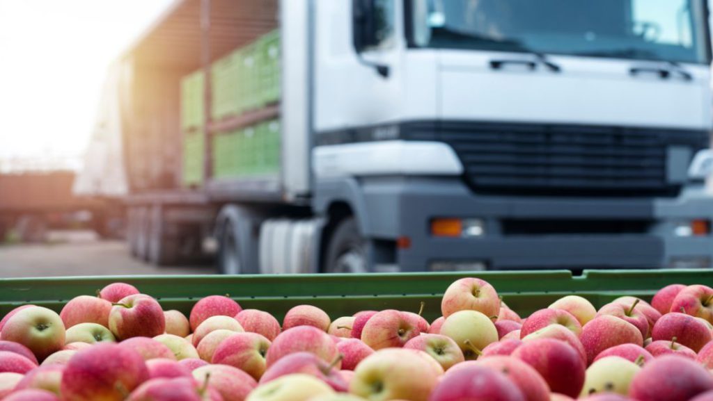5 Ways To Improve Your Food Distribution Business