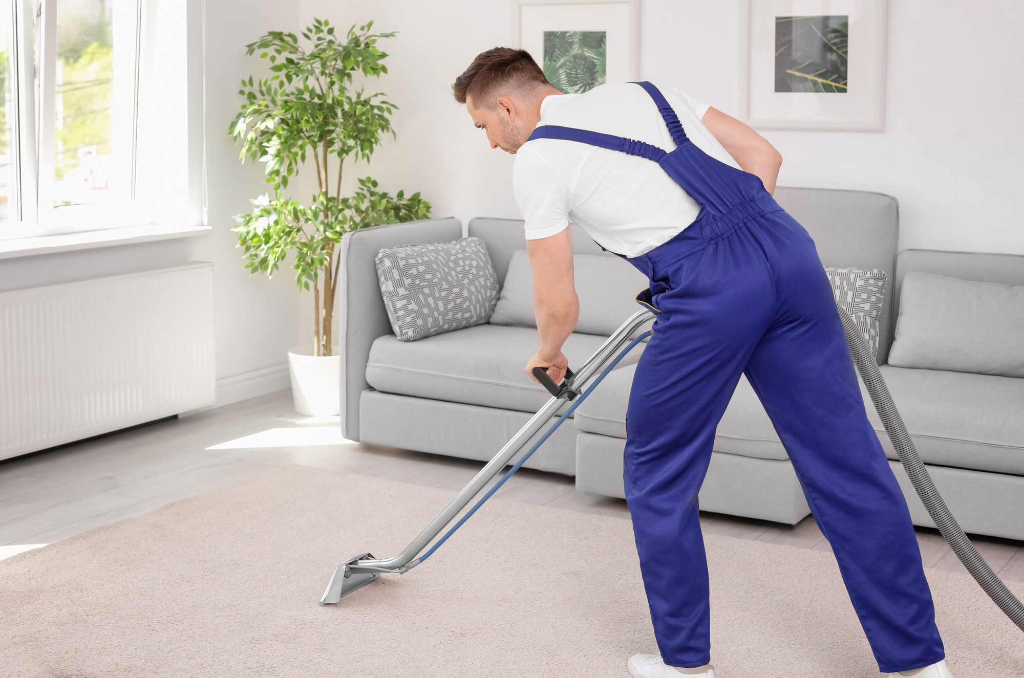 5 Essential Equipment For A New Carpet Cleaning Company