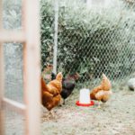 Photo by Annie Williams on Unsplash
