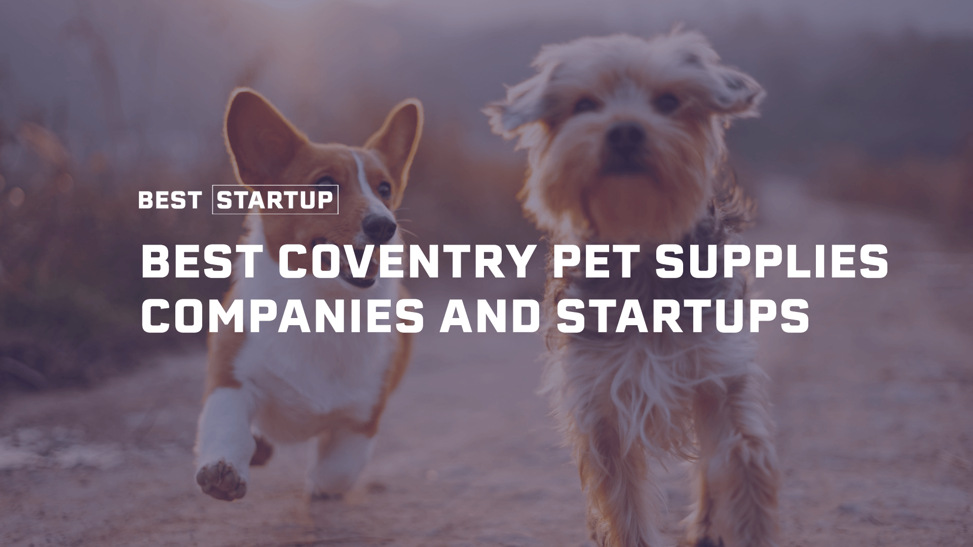 Coventry's Cornucopia A Spotlight on Remarkable Pet Supply Enterprises in Coventry, RI Best