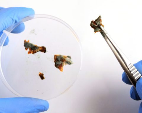 Cost-Saving Tips for Your Scientific Laboratory